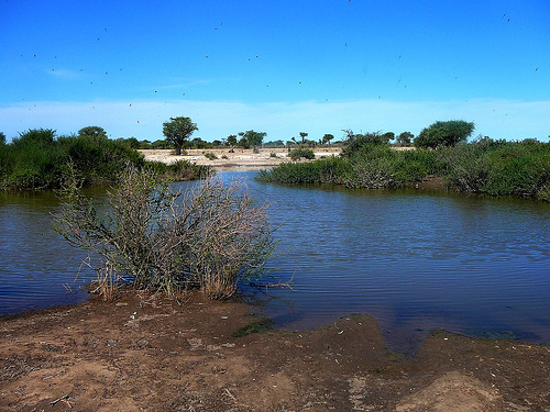 Khutse Game Reserve